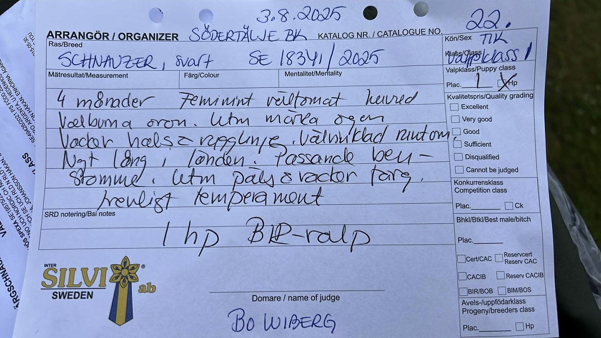 Black Blessings första kritik