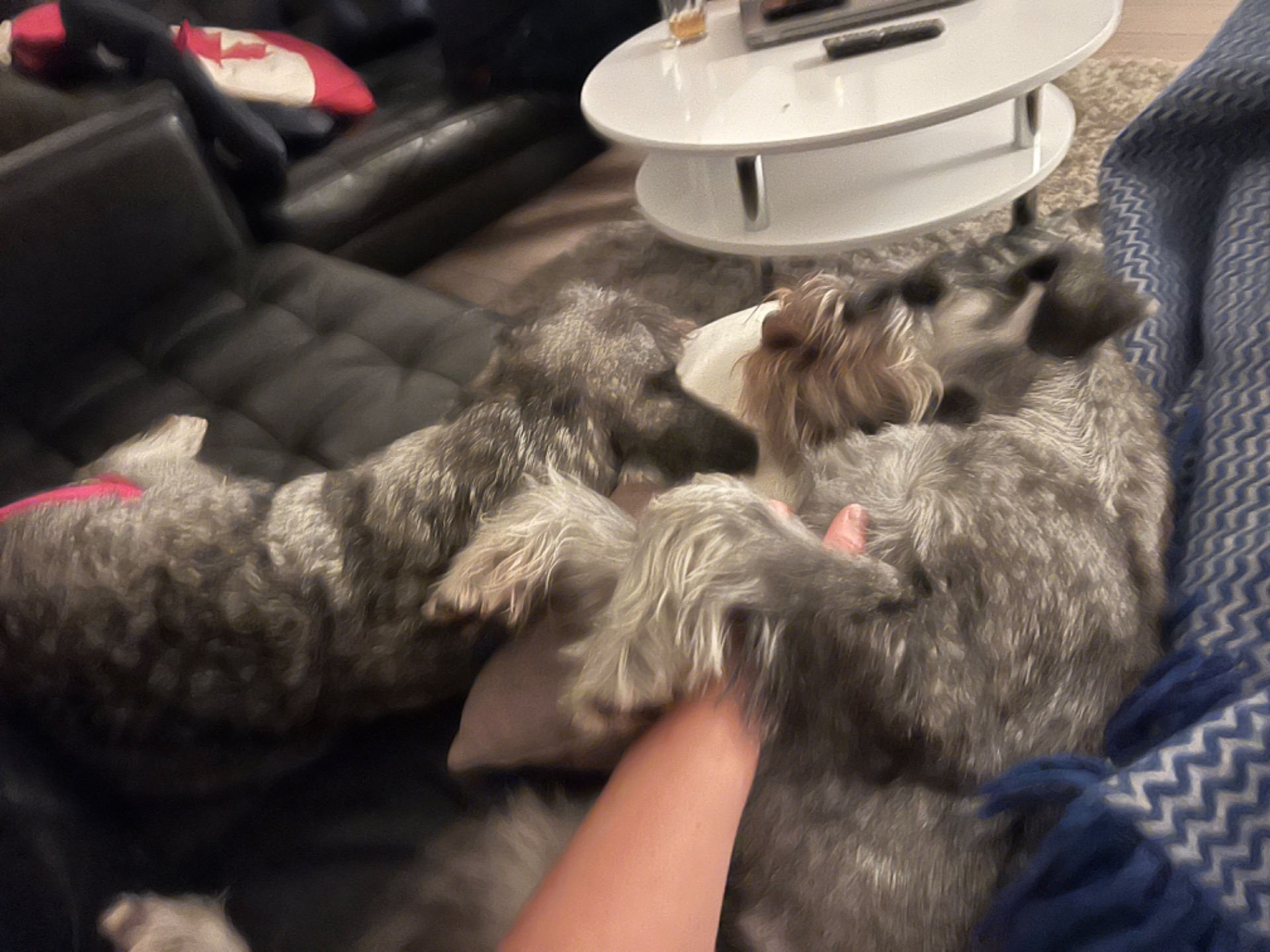 Tjejerna myser med matte i soffan