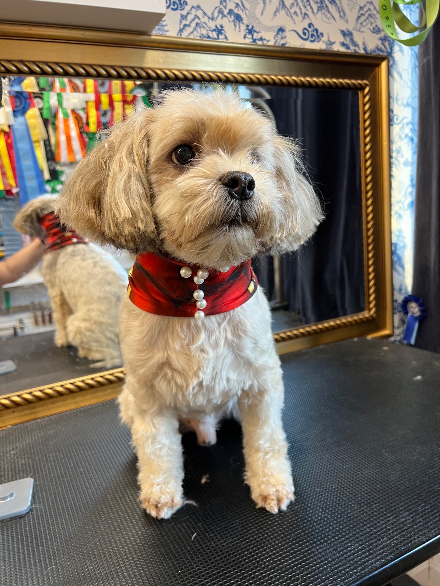 Världens sötaste Herr R.