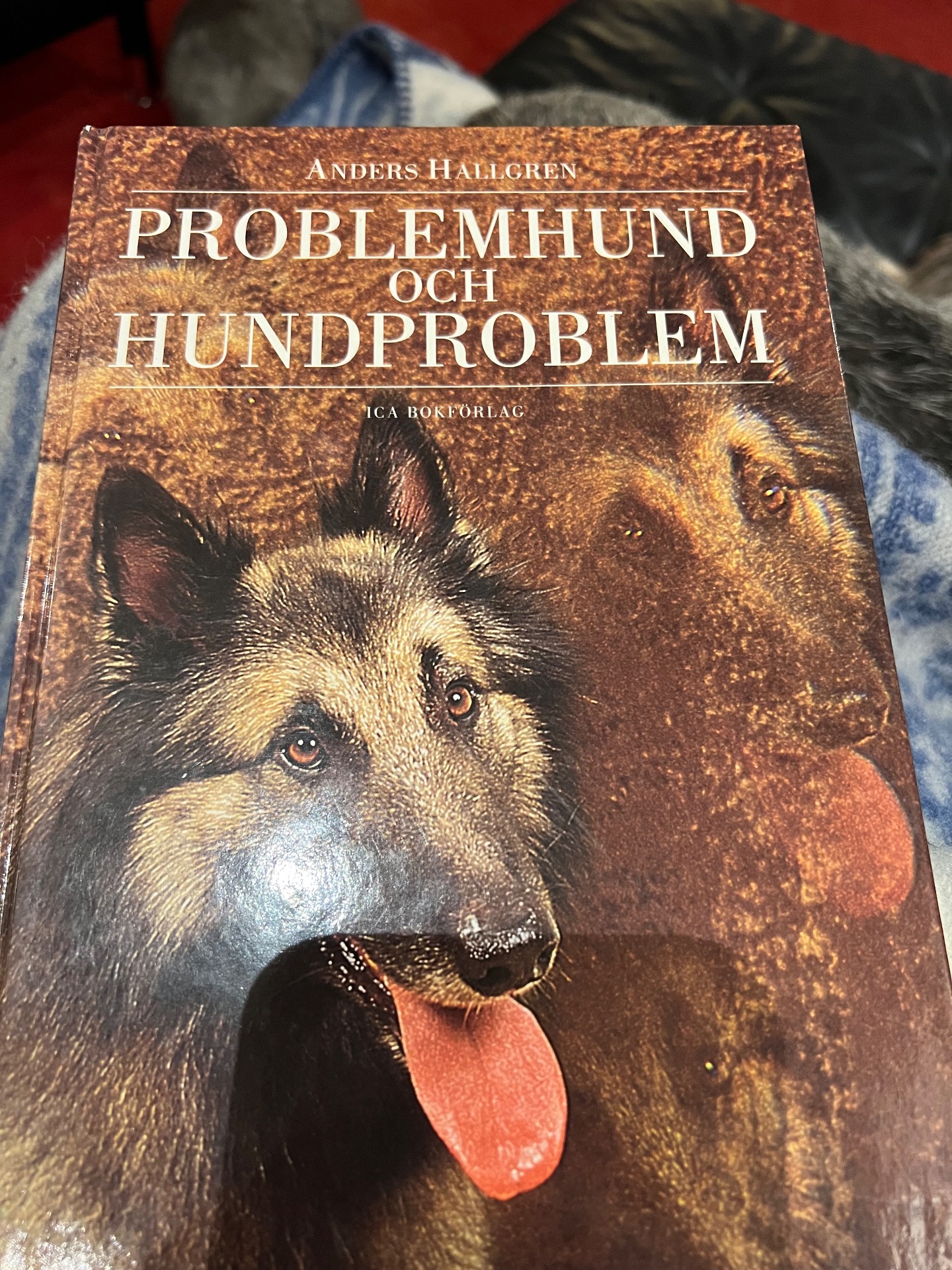 Första boken jag plöjde. Har iaf en "gammal" metod. 