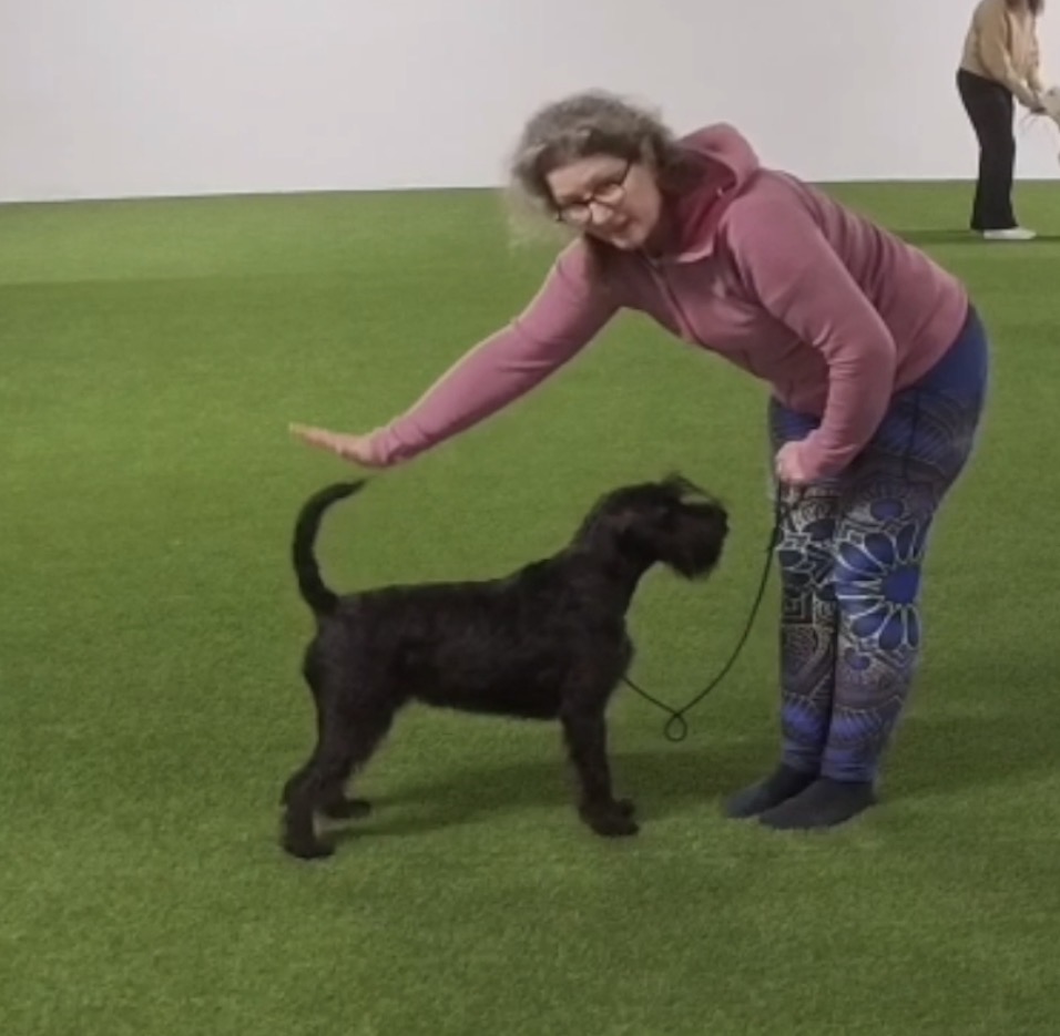 Babsan - fågelperspektiv, ska fixa en bättre bild