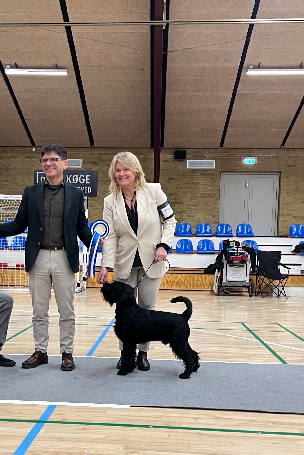 BIS junior 2 Alert 'n' Brave Black Bargain (Clip), den fina BIS junior 1 hunden stod inte snyggt samtidigt som Clip så jag beskar bilden. Men det var en mycket fin PS-hane från kennel Mohners.