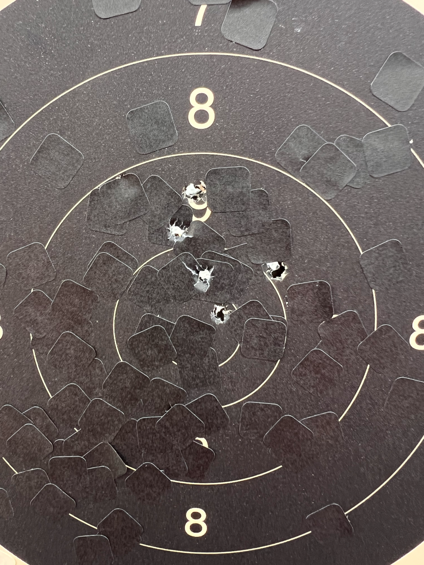 Pistolskytte precision Visby National Beväringen VNB