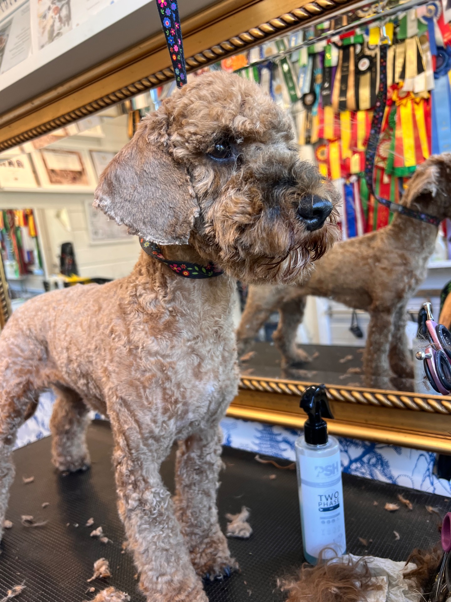 Doodletrim